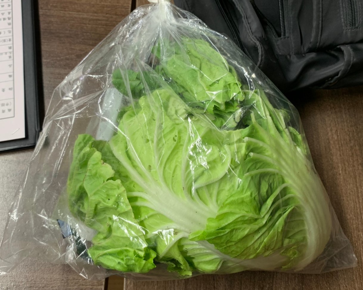 3 結球白菜