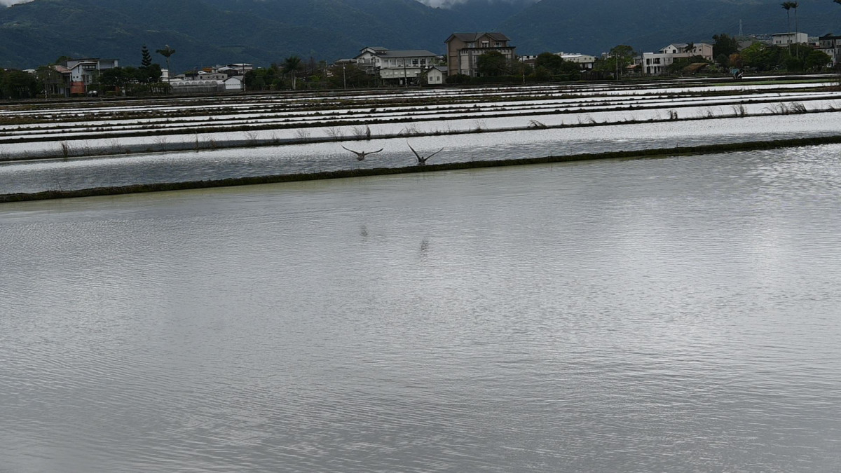 (圖/宜蘭縣府農業處畜產科)