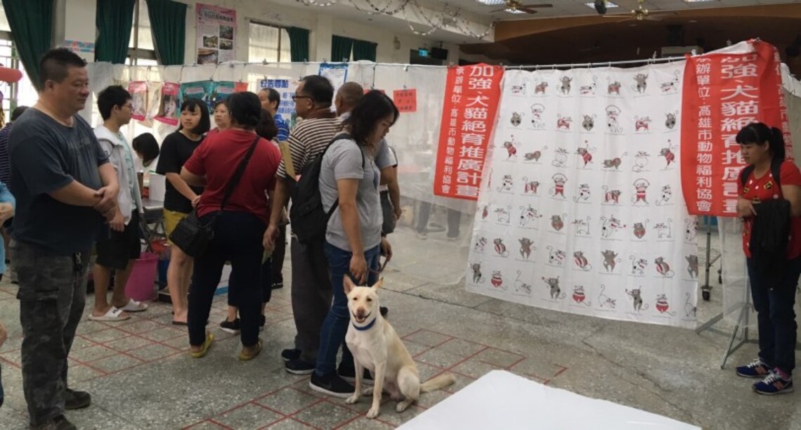 2023高雄市犬貓絕育補助即日開跑!補助金額加碼 毛孩爸媽速速申請