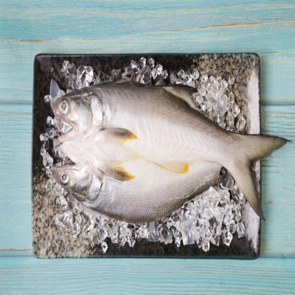 momo「梓官漁會頂級午仔魚」專案組,豪氣端出10尾午仔魚,獨享嚐鮮優惠價1,160元。