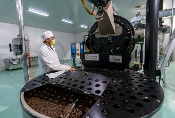 普洱市一家咖啡公司的員工在烘焙咖啡豆生產線上工作 普洱市一家咖啡公司的員工在烘焙咖啡豆生產線上工作