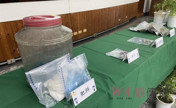 斜槓人生用荒廢蘭花園改種大麻 民雄警分局機智查獲避免流出市面