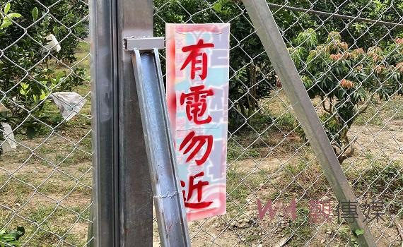 防治獼猴危害農作物神器 咖啡、果農注意!電圍網補助起跑