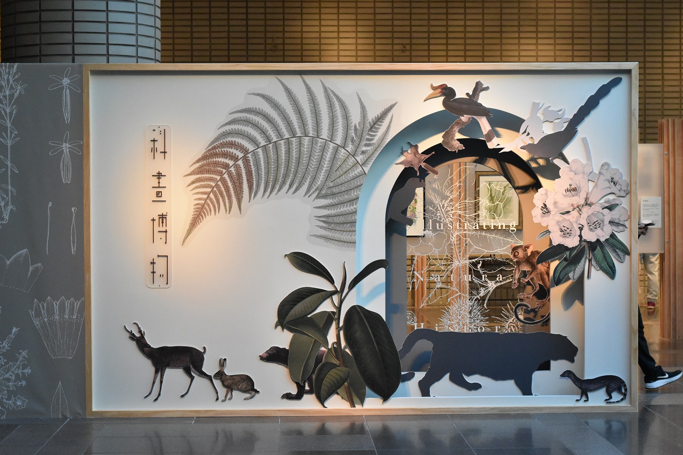 臺中科博館《科畫博物》特展 穿越時空探索科學繪圖之美