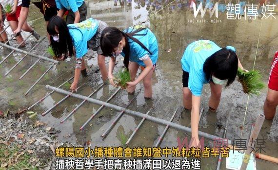 影/春耕!螺陽國小播種台南11號米 體會誰知盤中飧粒粒皆辛苦