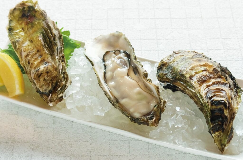 連續假期4天,敘日全日餐廳可吃到鮮甜多汁的廣島帶殼生蠔與生食級干貝無限量供應。(圖_六福旅遊集團提供)