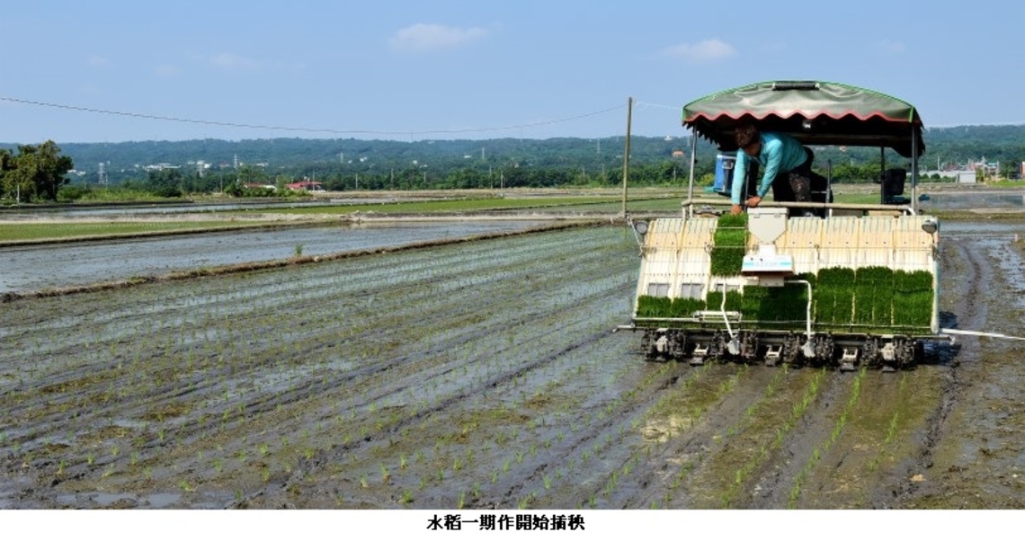 打造健康農業生態 中市水稻綜合防治資材補助計畫啟動