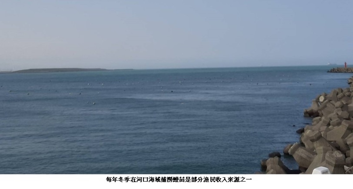 鰻苗捕撈期結束 3/1至10/31禁止捕撈