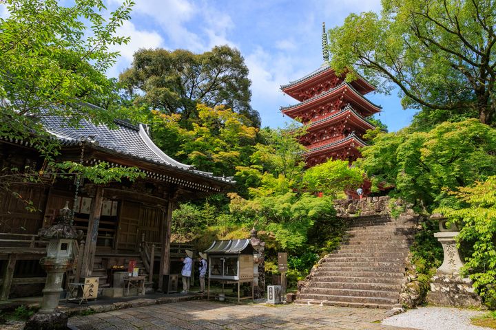高知縣遍路寺朝聖之旅 新手也能輕鬆參拜4大路線