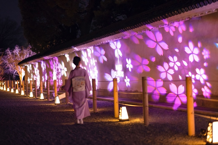 京都二条城春櫻爛漫NAKED FLOWERS 2023光雕秀登場