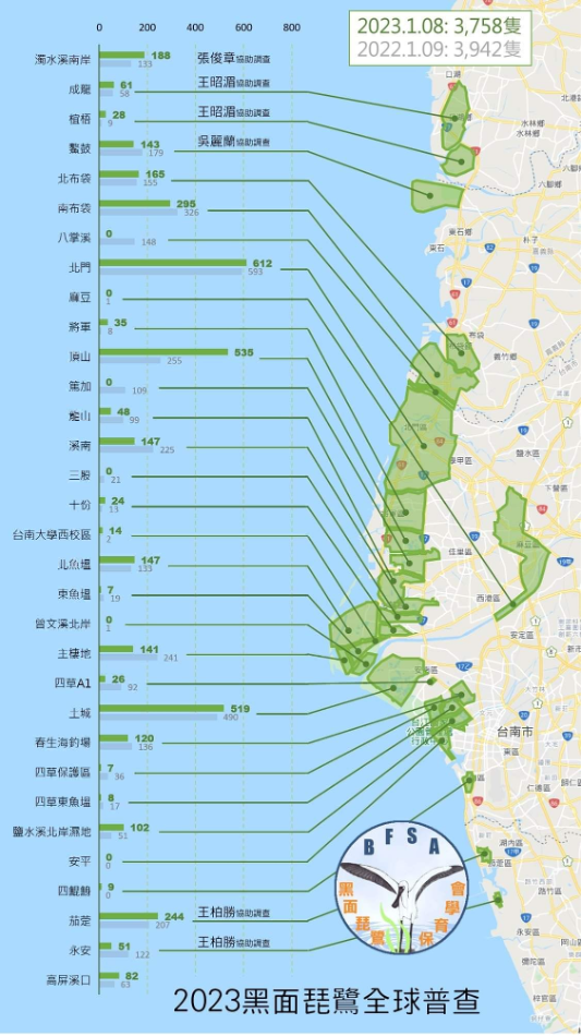 20230302-2023黑面琵鷺全球普查。(作者提供)