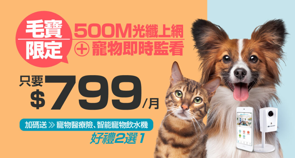 凱擘大寬頻寵物居家關懷+500M光纖上網快閃價799元,限時再享寵愛好禮。
