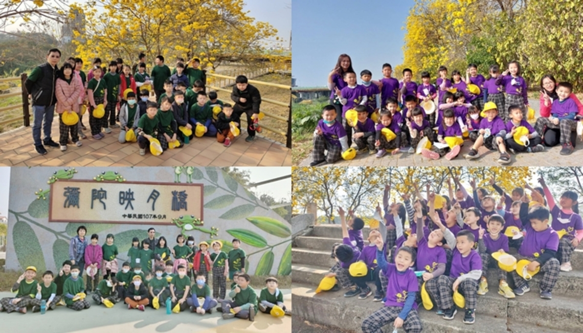 嘉義市軍輝橋畔黃花風鈴木盛開成金色隧道 興安國小校外教學「閱讀春天」
