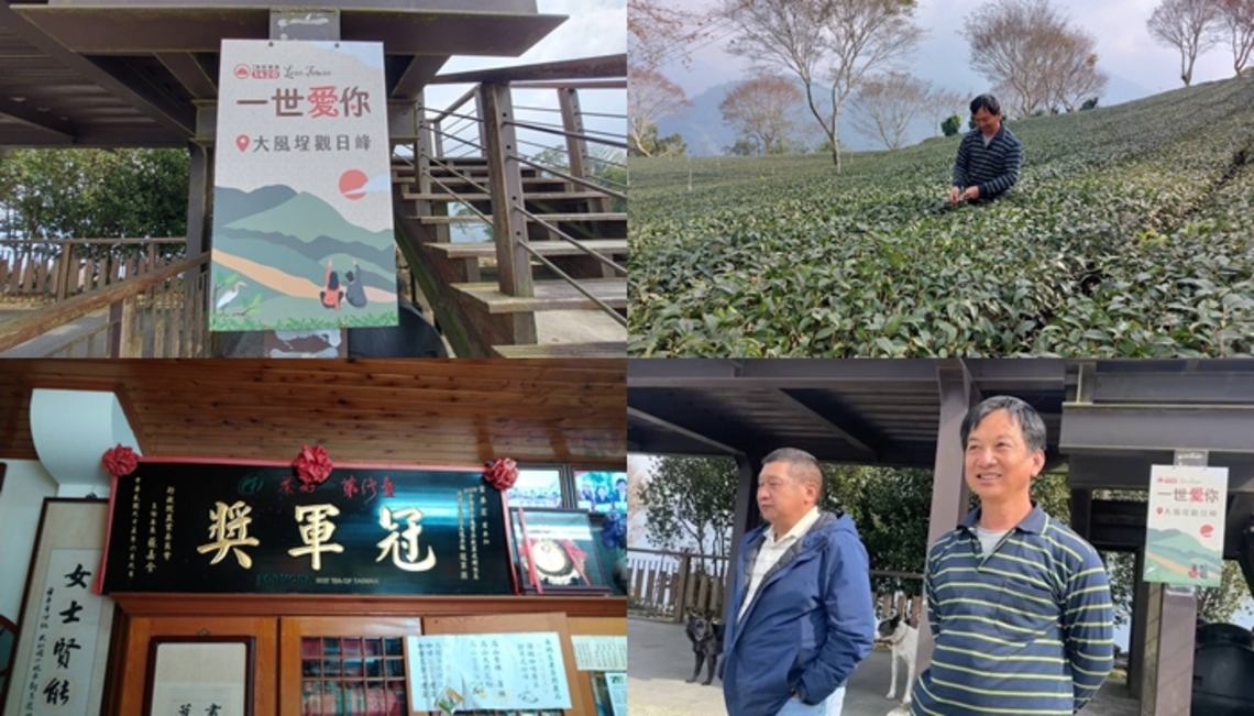 嘉義縣觀光旅遊新祕境 梅山鄉太和村大風埕 百公頃井然有序的大片茶園美景