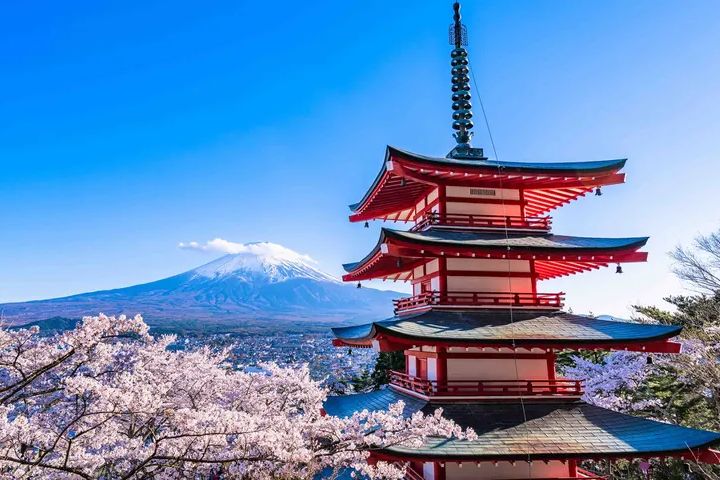 從新倉淺間神社的五層寶塔欣賞富士山、整個城市和盛開的櫻花全景。 圖:Klook/提供