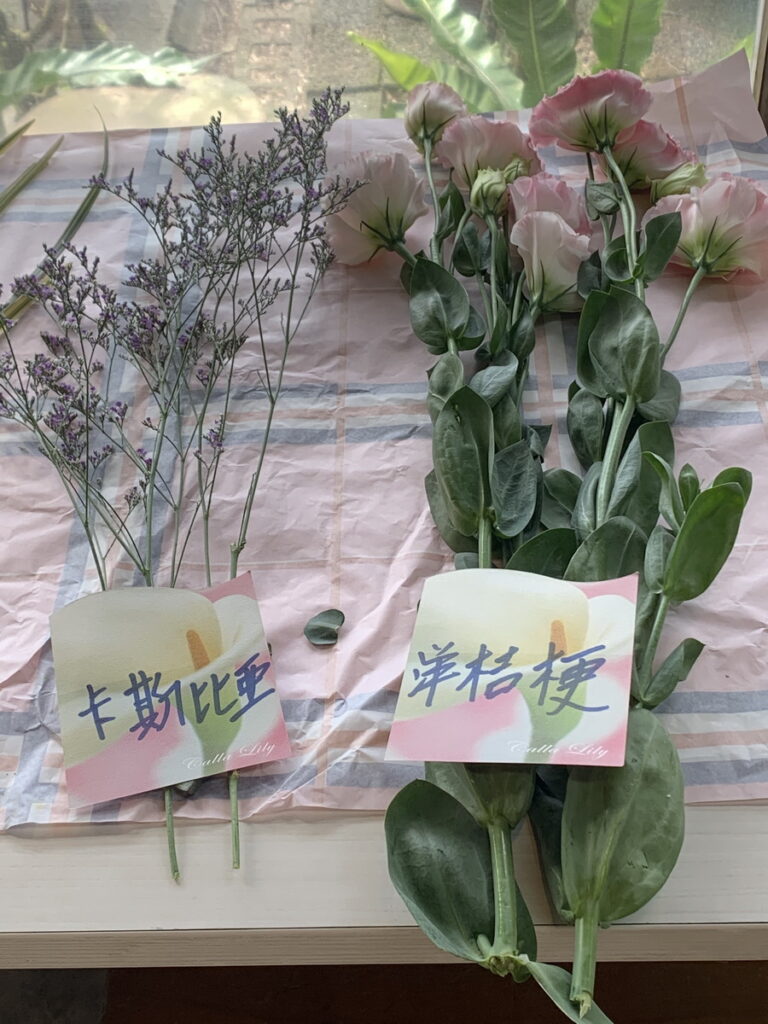 竹子湖海芋季