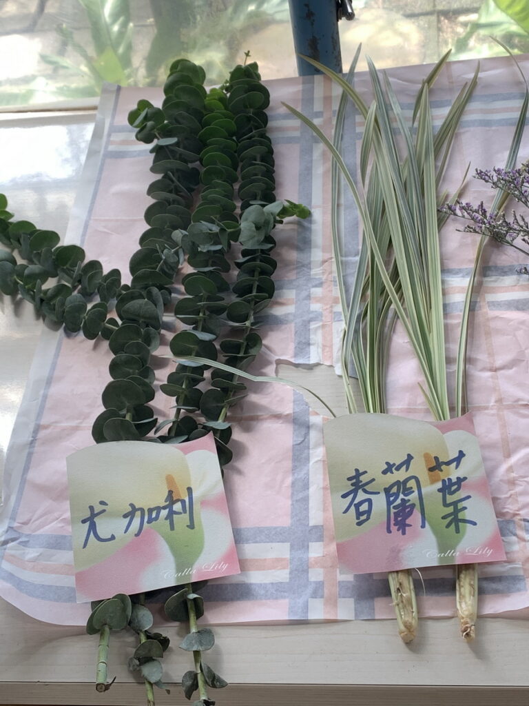 竹子湖海芋季