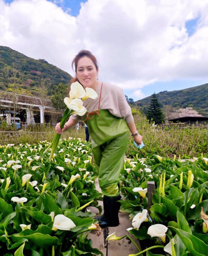 「獨旅.偶遇」 2023竹子湖海芋季3/14白色情人節開跑