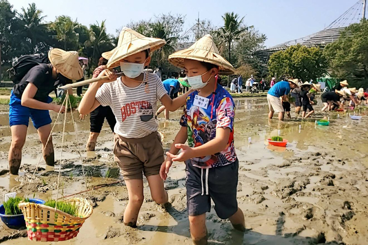 食農教育/來六堆「割禾」體驗下田樂
