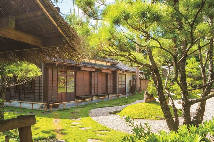 三月杜鵑花開/跟著《城南、台大》漫遊街區人文底蘊