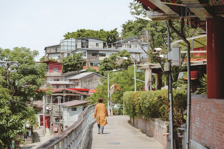 三月杜鵑花開/跟著《城南、台大》漫遊街區人文底蘊