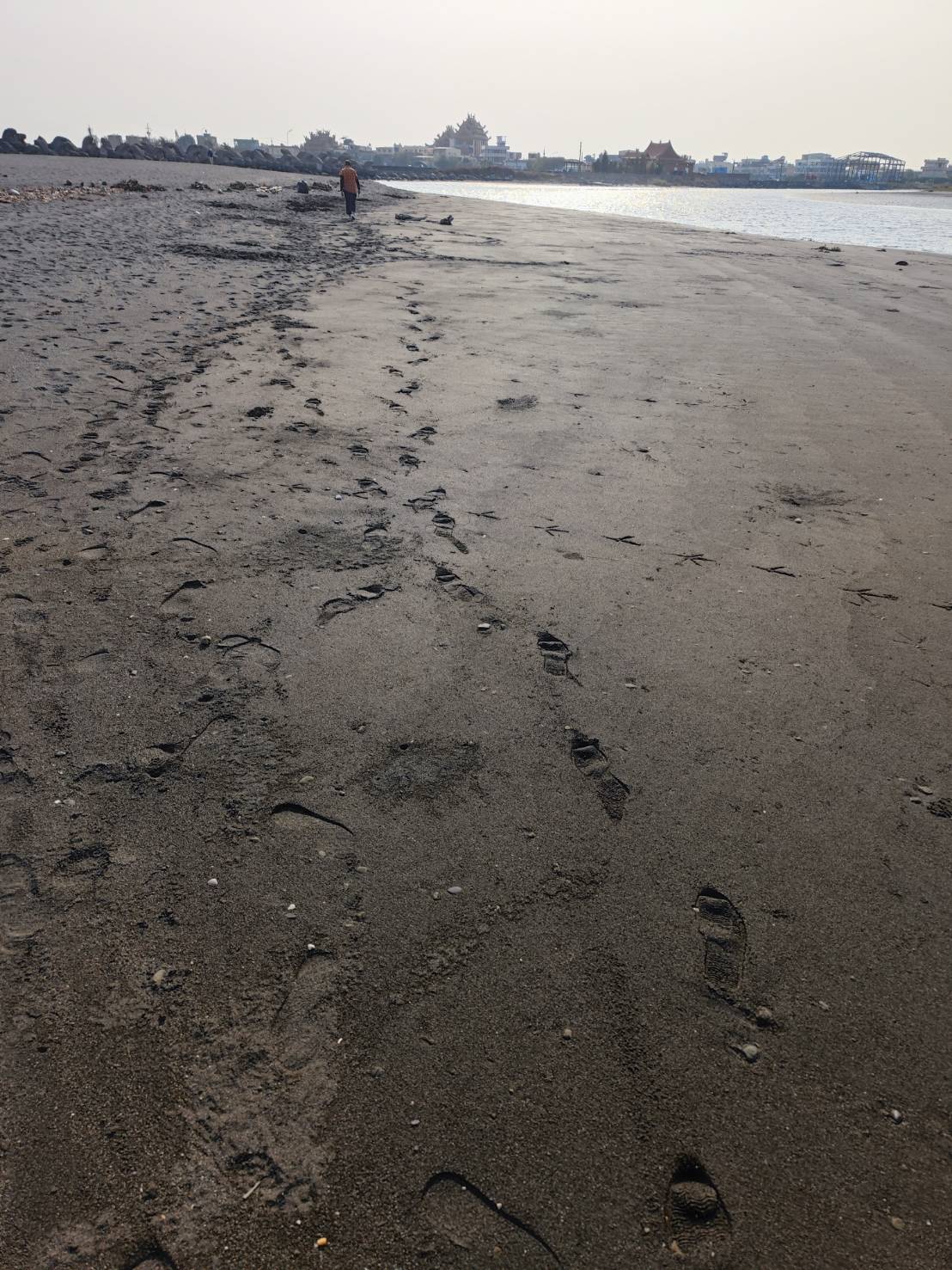 林園大排出海口沙洲死魚 高市府海洋、環保兩局合作於本日完成清除