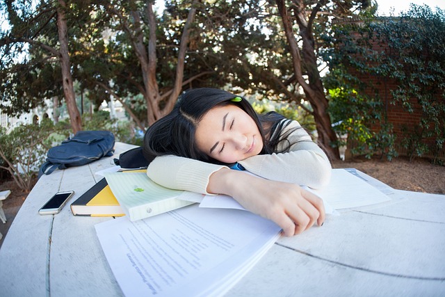 student-g3c63ec223_640.jpg
