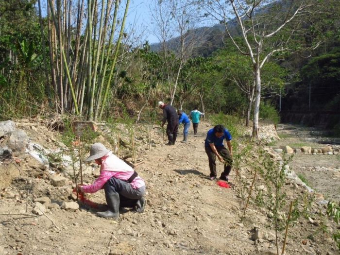 水里民和齷齪坑植樹綠美化 延伸日月潭森活圈