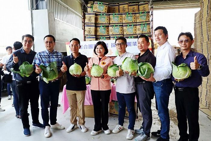 雲林縣府媒合團膳業者購買高麗菜 協助市場供銷回穩