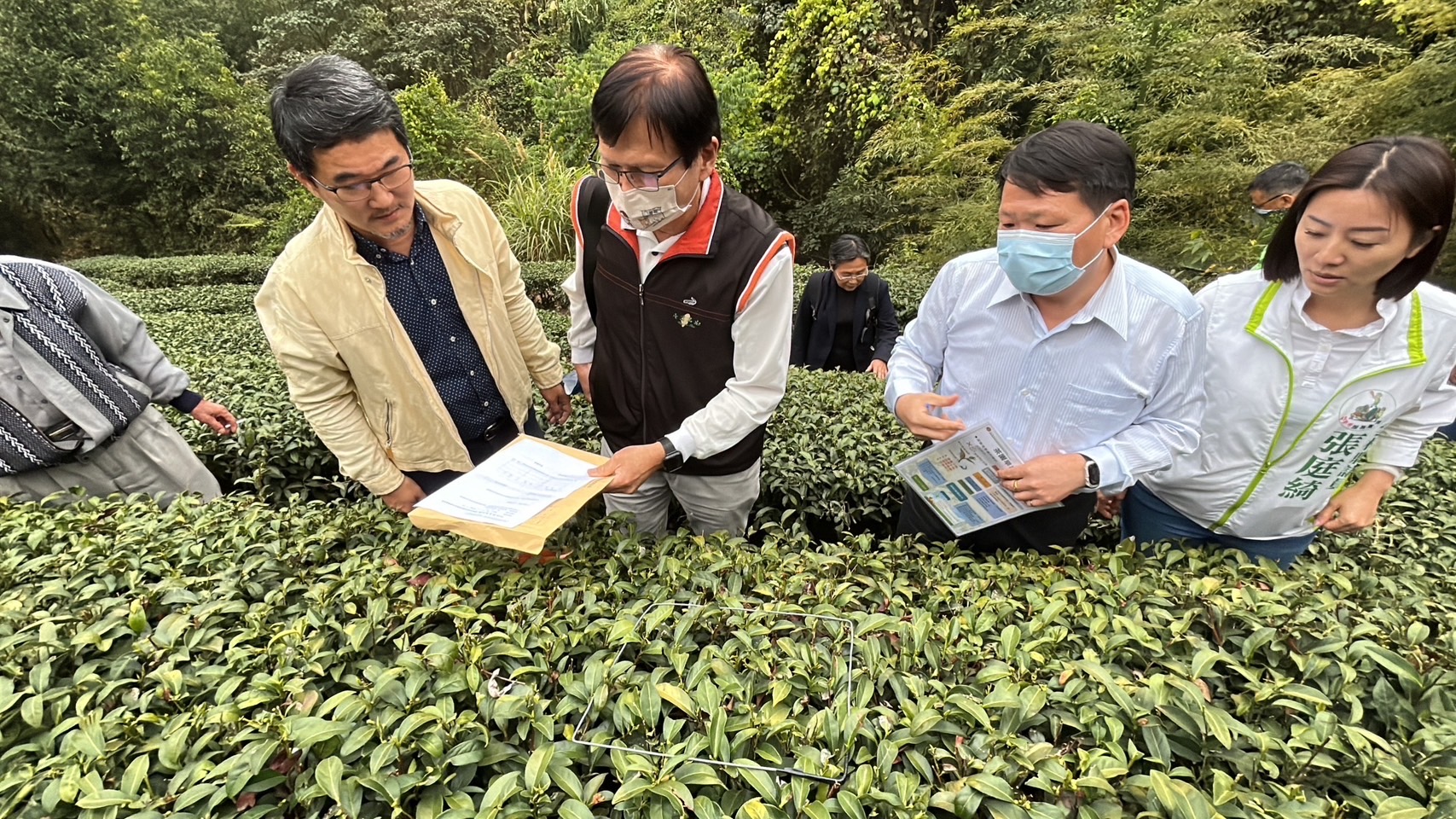 立委劉建國希望能為受損農戶爭取到災害補助。(圖/翻攝自劉建國臉書)