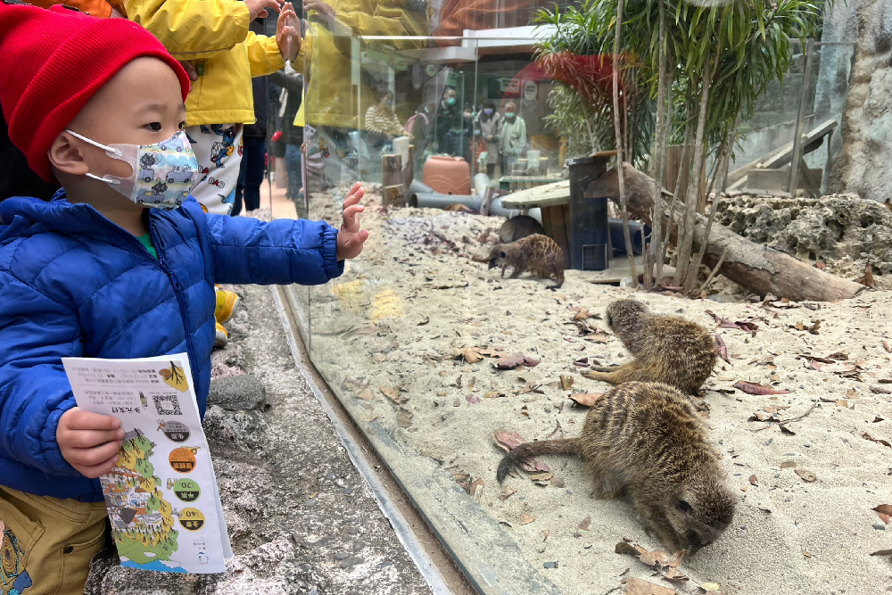 歡慶兒童節 壽山動物園加碼現場票 46 新增專案 61