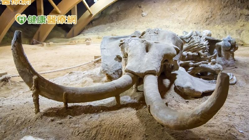 4.8萬年「殭屍病毒」復活! 國外專家:恐引發大流行