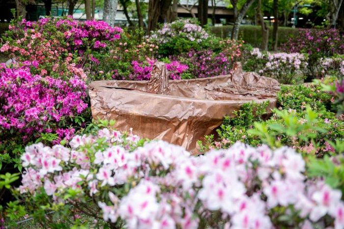 雙北聯手行銷杜鵑! 萬金杜鵑花展移師大安森林公園