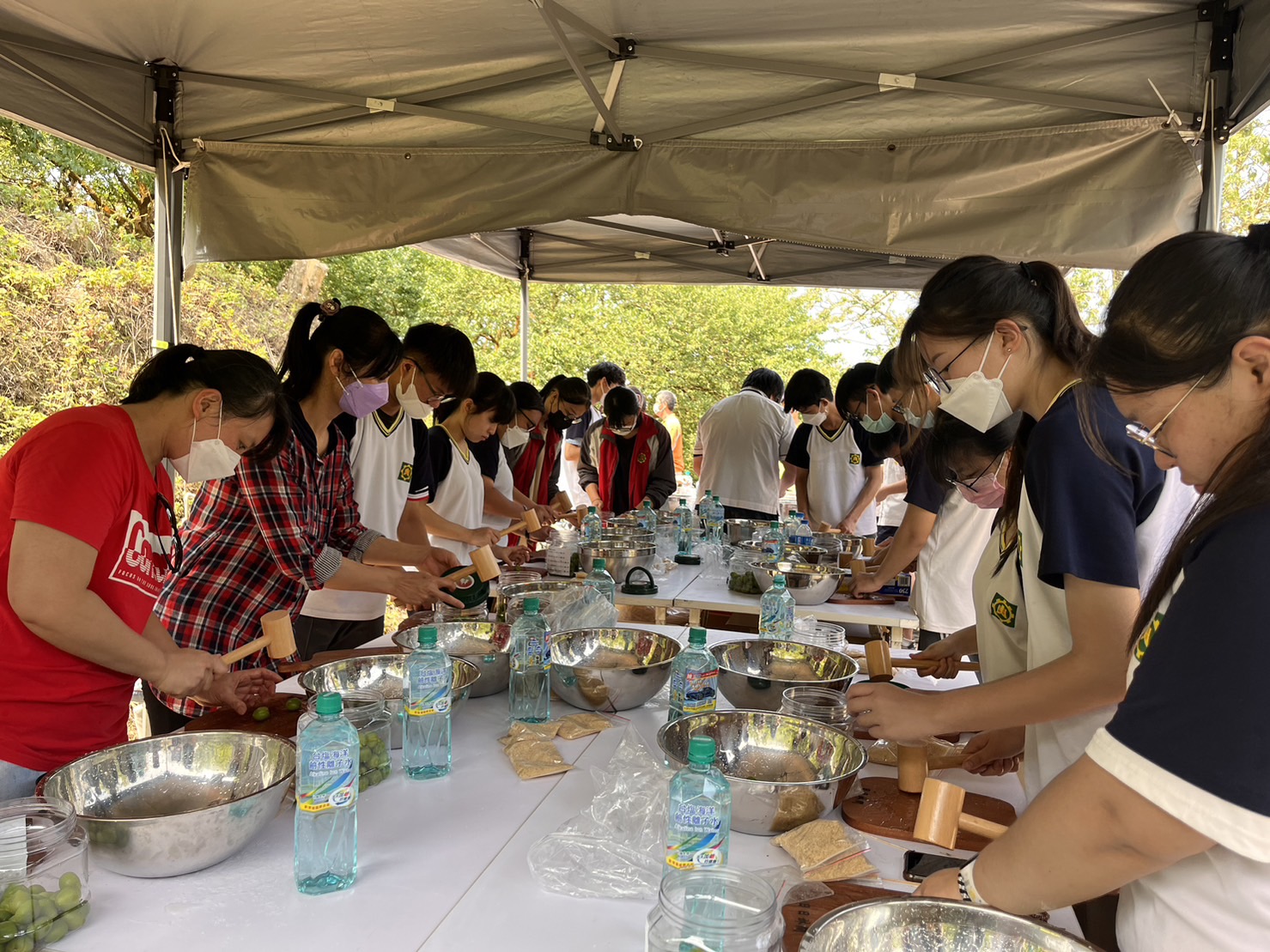 南農女力 深耕休閒農業