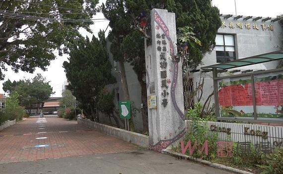 影/校園各式各樣蜜源植物 林內成功國小成紫斑蝶秘境