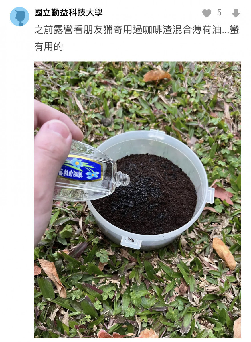 網友表示白花油混合咖啡渣能有效防蚊/陳致愷翻攝