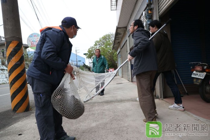 誰下的毒手!東非狒狒驚傳遭擊斃 桃園農業局否認開槍已經報警處理