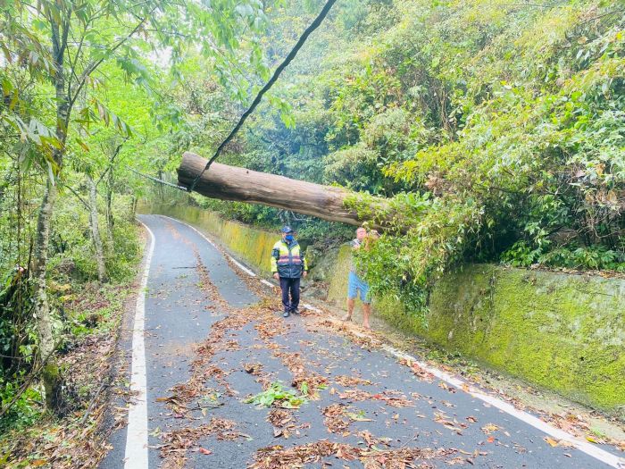 路樹倒塌壓電線影響交通 警民合作順利排除