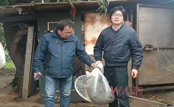 狒狒南桃園流竄16天悲劇收場  警方偵訊獵人指受竹縣府委託