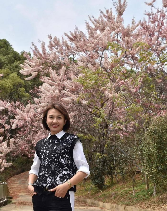 花旗木廊道賞花 立委邱議瑩:感受六龜自然美景