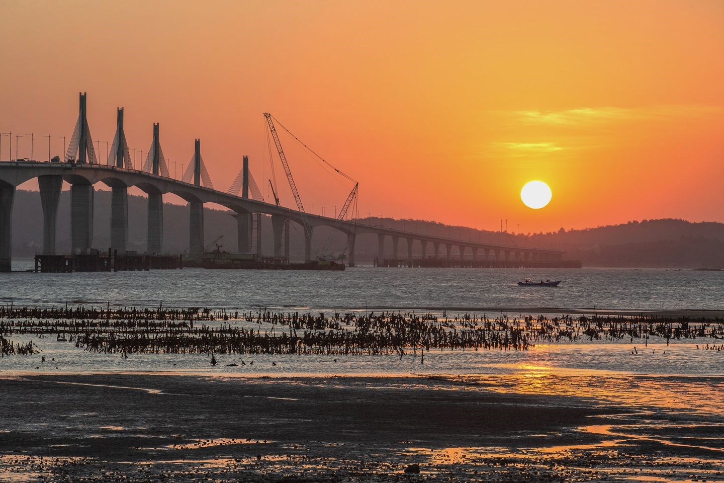 金門大橋最佳打卡點徵選 快上樂遊金門粉專留言抽好禮！