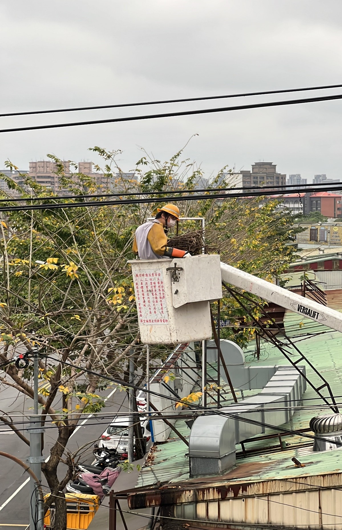 台電線路巡修人員變身房仲替喜鵲夫妻另覓甜蜜窩。