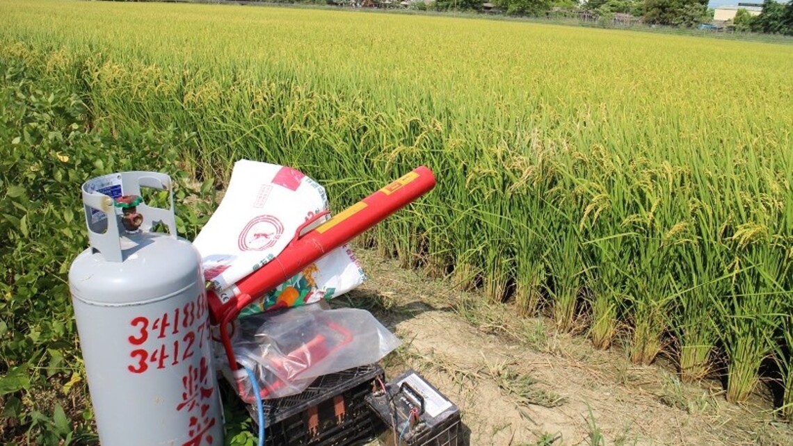 稻農趕麻雀 媲美俄烏戰場武器大觀園