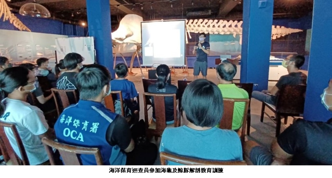 海保署招聘海洋保育巡查員 有愛心熱忱人士一起來圓夢