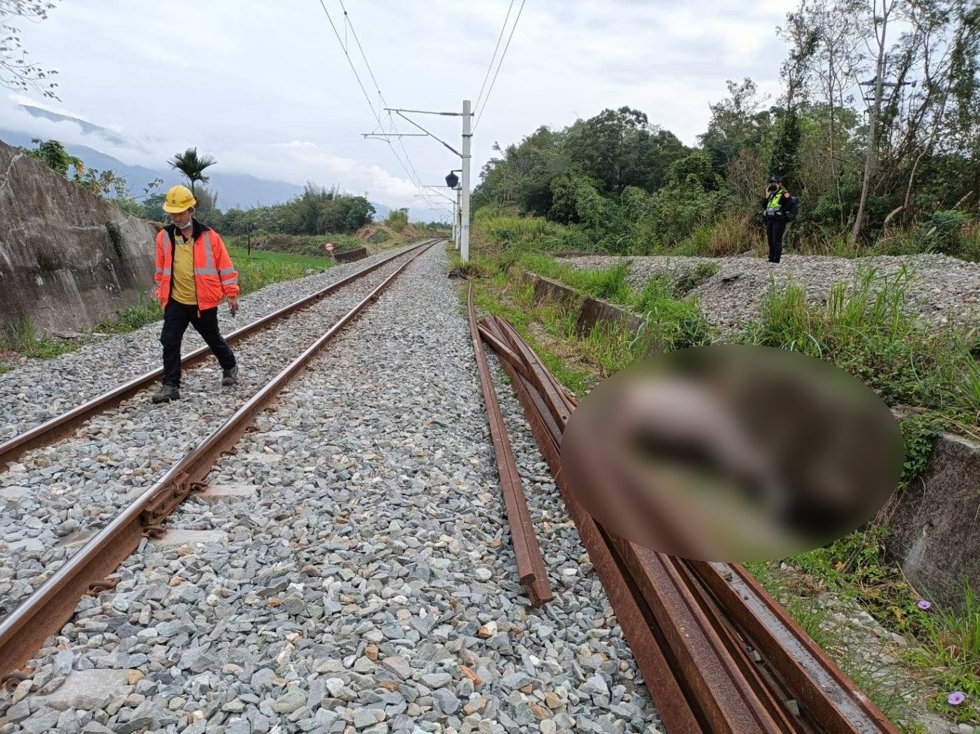 台鐵401次太魯閣清晨5時許行經花蓮富里東竹間,撞上闖入軌道的牛隻,造成車首護蓋及車門損毀,肇事牛隻當場身亡。翻攝照片