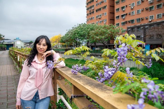 新北鴨母港溝百花爭相盛開 紫藤花爭豔綻放