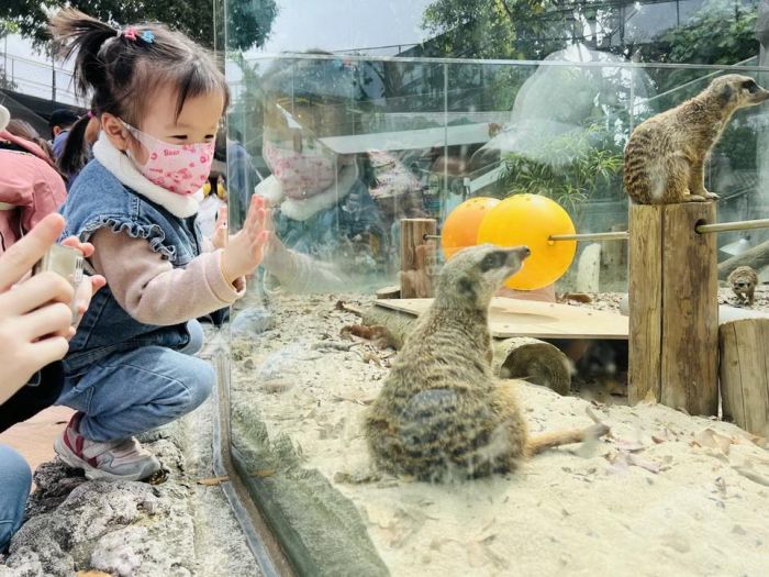 兒童節連假必玩景點 高雄推出12歲以下免費入園