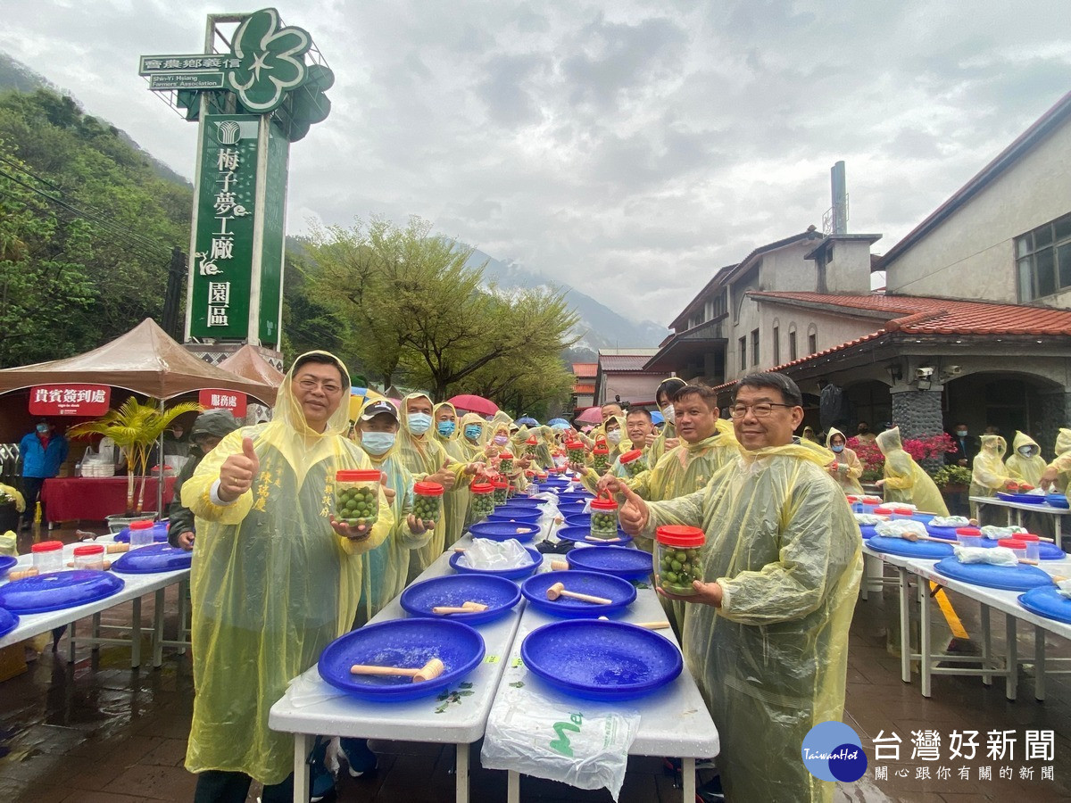 南投縣政府農業處長陳瑞慶等貴賓參與脆梅DIY。(記者吳素珍攝)