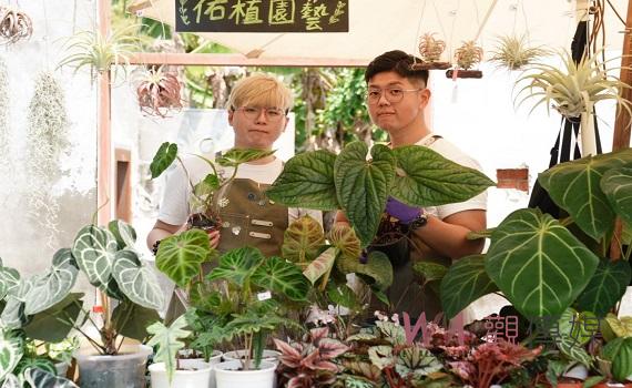 虎尾眷村植市集　來雲林體驗「植感」假期