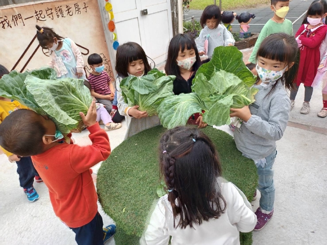 力挺農民 嘉市國中小幼兒園「食」際行動助高麗菜農 兒童月將農業議題融入課程中